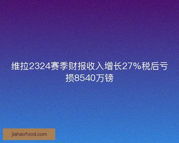 维拉2324赛季财报收入增长27%税后亏损8540万镑