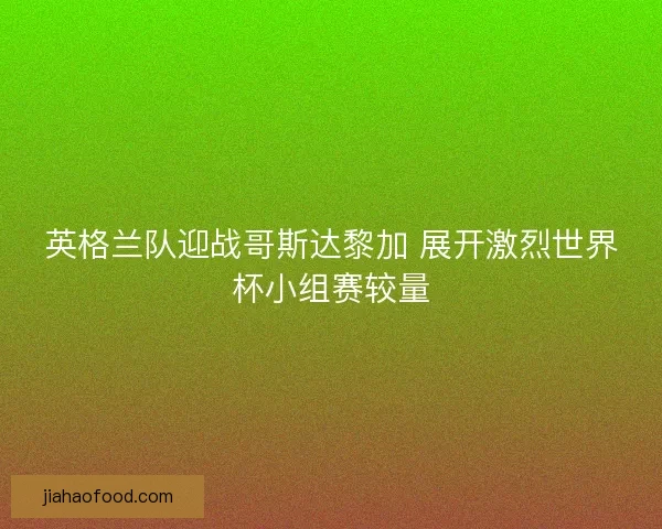 英格兰队迎战哥斯达黎加 展开激烈世界杯小组赛较量
