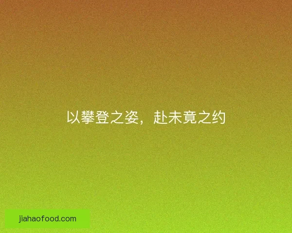 以攀登之姿，赴未竟之约