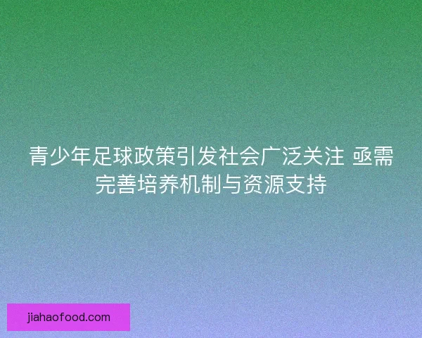 青少年足球政策引发社会广泛关注 亟需完善培养机制与资源支持