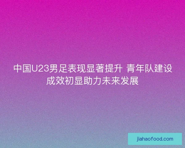 中国U23男足表现显著提升 青年队建设成效初显助力未来发展