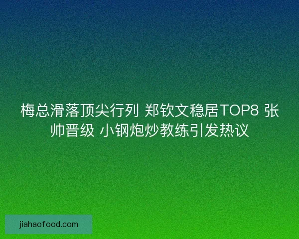 梅总滑落顶尖行列 郑钦文稳居TOP8 张帅晋级 小钢炮炒教练引发热议