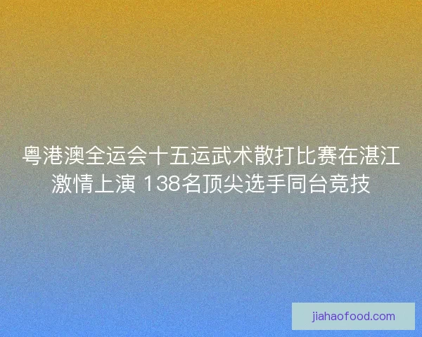 粤港澳全运会十五运武术散打比赛在湛江激情上演 138名顶尖选手同台竞技