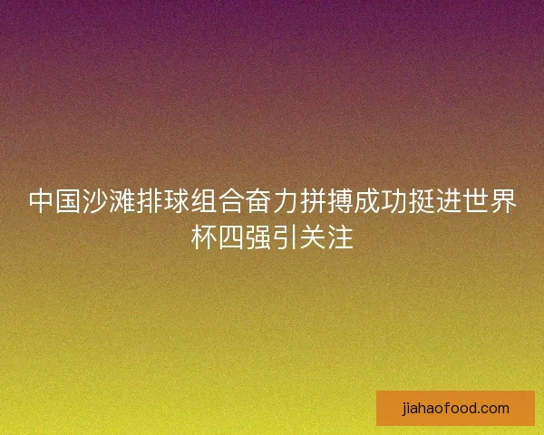 中国沙滩排球组合奋力拼搏成功挺进世界杯四强引关注