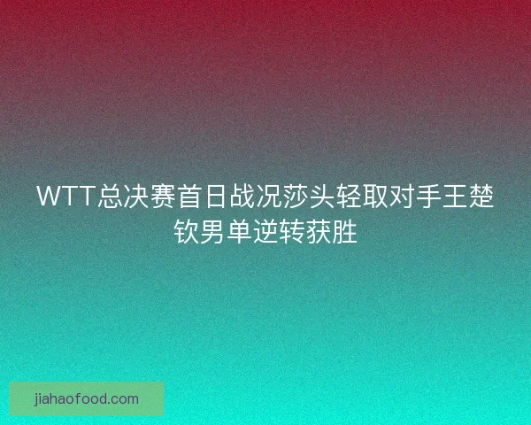 WTT总决赛首日战况莎头轻取对手王楚钦男单逆转获胜