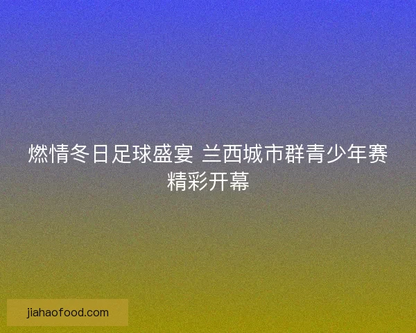 燃情冬日足球盛宴 兰西城市群青少年赛精彩开幕