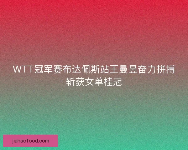 WTT冠军赛布达佩斯站王曼昱奋力拼搏斩获女单桂冠
